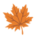 thanksgiving_5